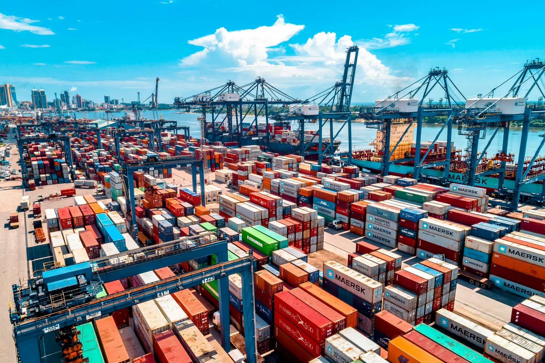 Customs operations at a modern container port